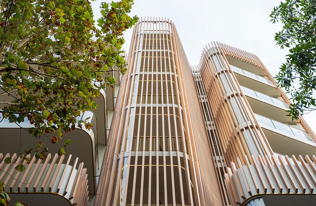 Calibre - Surry Hills